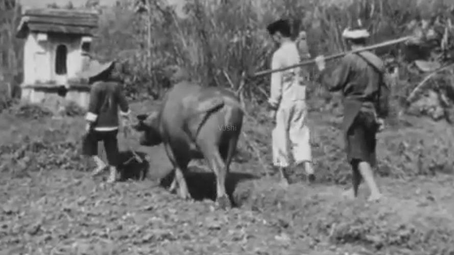 30年代中国农村风光