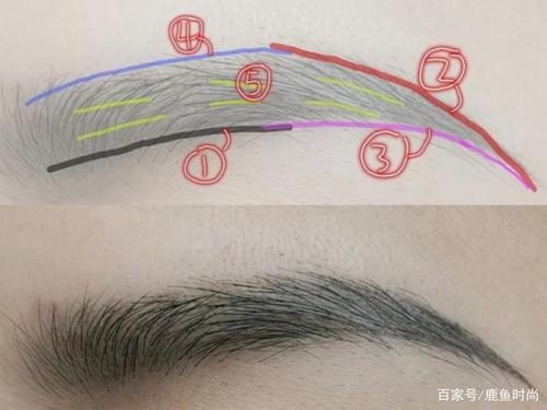 避开画眉雷区,这三点简单明了的画眉步骤,新手也能轻松画好眉毛
