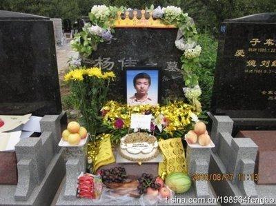 [转载]记住,这个国家曾经诞生过杨佳_牛不喝水强按头