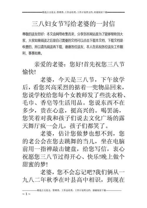 三八妇女节写给老婆的一封信doc9页