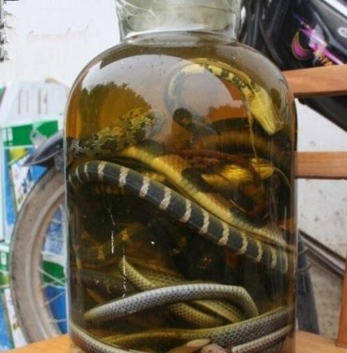 泡了四五年的过山峰蛇酒还能喝吗网友的回答太精彩了