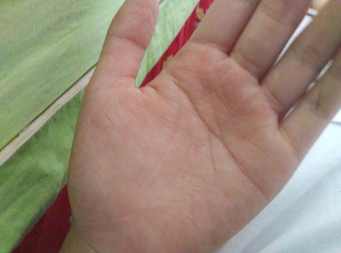 手心有横纹代表什么表示什么(就一只手)