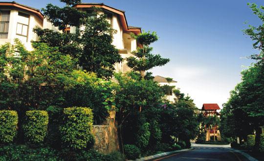 南宁枫林蓝岸别墅实景图?