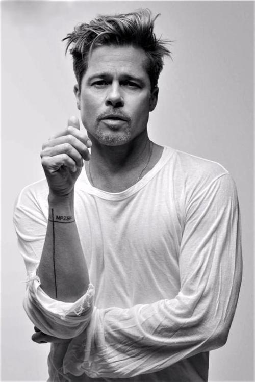 最佳男配角:布拉德·皮特 brad pitt