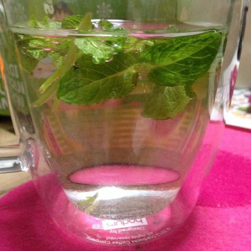 美食diy:冰糖薄荷水(办公室版)