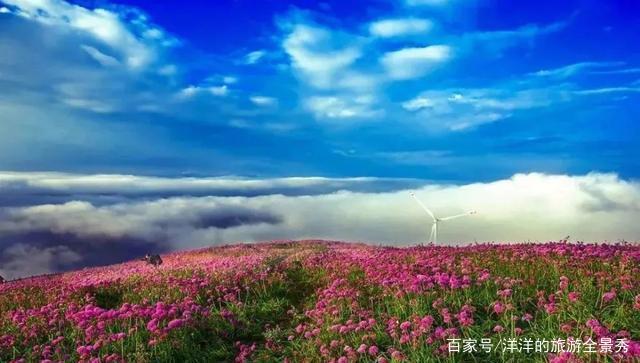 毕节市赫章县韭菜坪风光全景图片