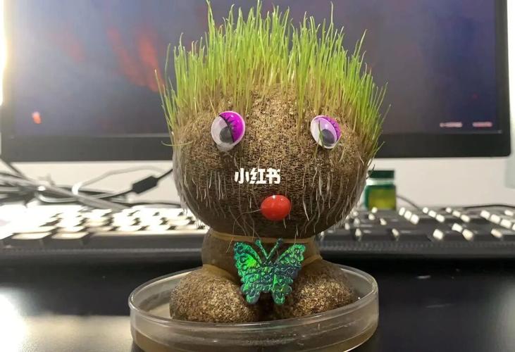 发量惊人的长草娃娃!_玩具_兴趣爱好_益智玩具