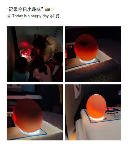 中一班班本课程"探究小鸡孵化的奥秘"