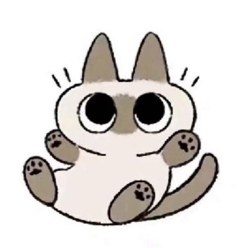 暹罗猫小豆泥