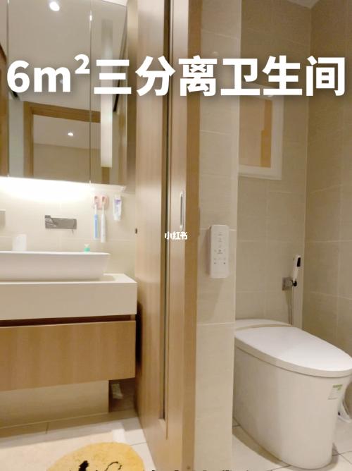 一镜到底9799参观我家的6m05三分离卫生间05