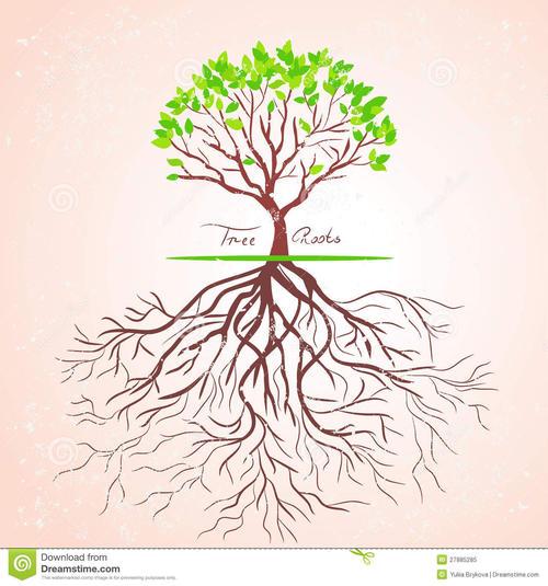 简笔画有树根的