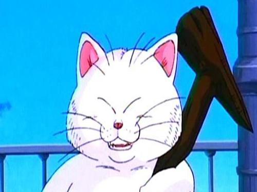 在圣地卡林塔,曾经指导孙悟空修业,并一直提供仙豆帮助悟空对抗邪恶势