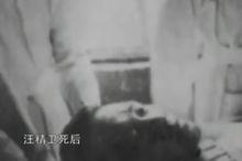 抗日战争胜利之后,南京人民对汪精卫的坟墓留在梅花山十分不满,纷纷