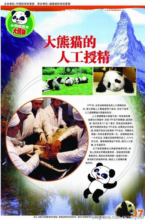 【科普挂图】中国的国宝大熊猫
