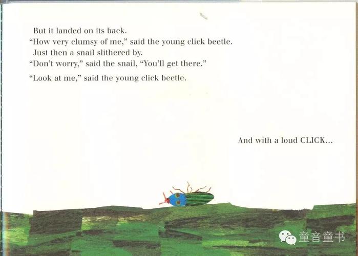 【andy读绘本】23. the very clumsy click beetle
