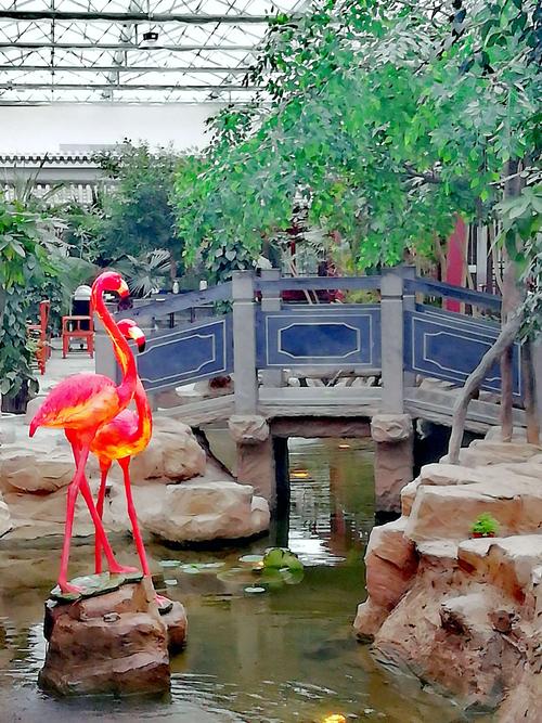 兰州女中六六届初三三班相聚在翠湖