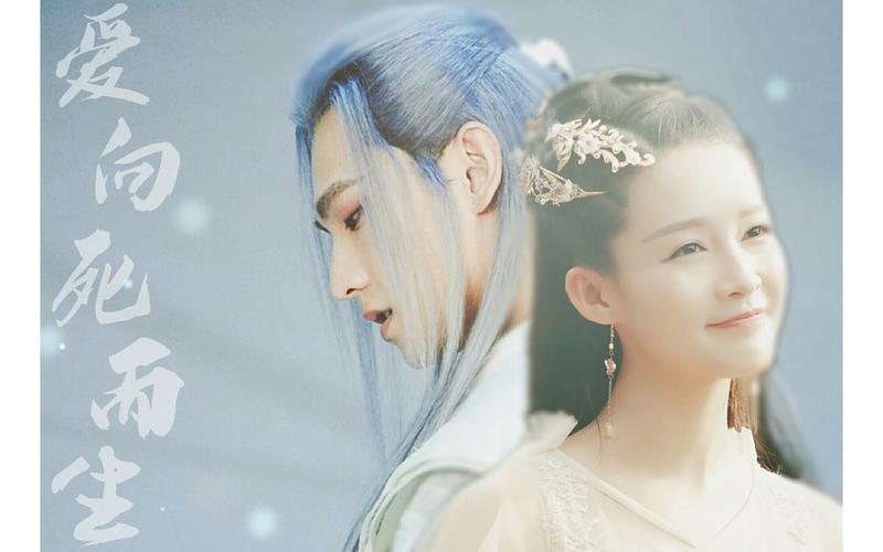 杨洋李沁遇见一只小狐狸