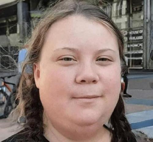 瑞典环保少女中国人羞辱我肥胖我要写到自己的简历里面