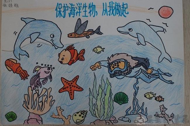 更多生物多样性主题儿童画图片,的可前往【儿童绘画栏目专区】查看