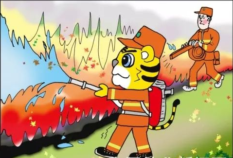 虎威威森林防火手抄报 森林防火手抄报