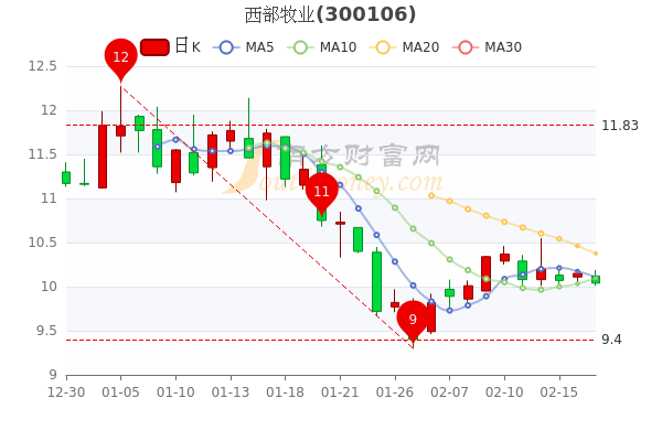 2月17日西部牧业换手率达124西部牧业股票行情怎么样