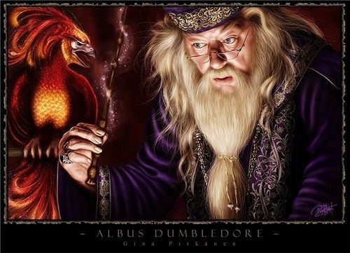 美国代购华纳正品dumbledore 邓布利多长老魔杖 纱布盒子版 直邮