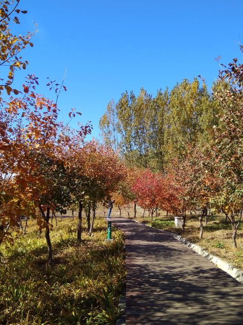 井陉矿区杏花沟湿地公园——自然美