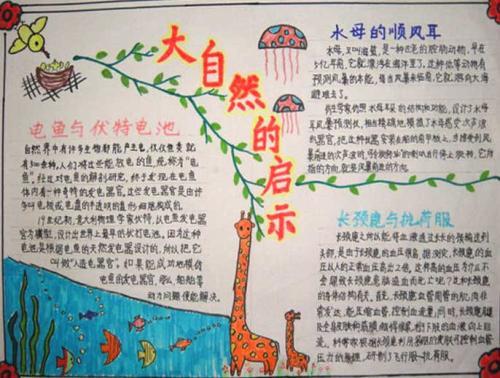 仿生学手抄报图片