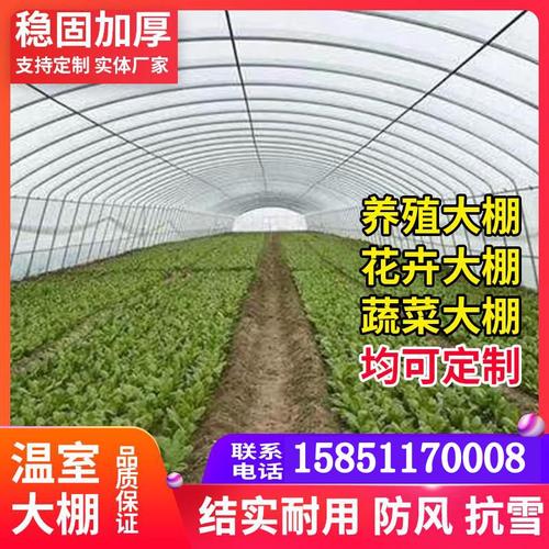 蔬菜温室大棚625/825养殖大棚骨架 含膜热镀锌钢管钢架连栋棚配件