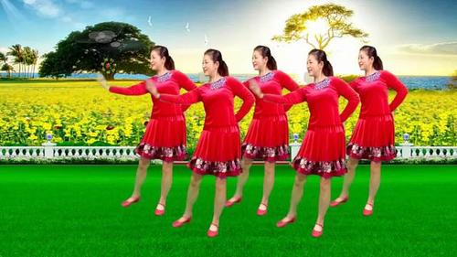 32步广场舞《荞麦花》突然火爆全网,大家都在跳,你跟风了吗?