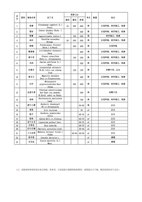 园林植物苗木表