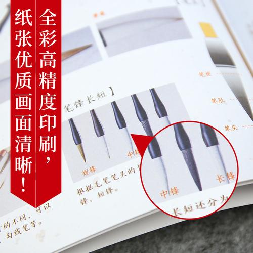 正版零基础学画画基础教程国画书籍好评好店