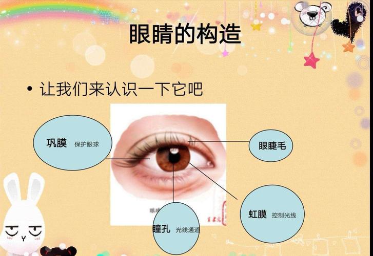 活动开始,沈昕漫妈妈出示了图片,让孩子们了解眼睛的构造.