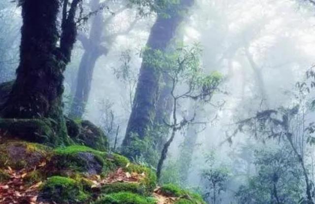 衰牢山,云南中部的一座山峰,传说古时,在公元五新世纪左右的情形下