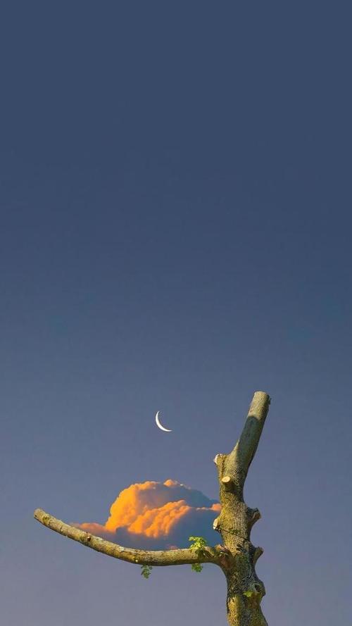 小众却惊艳到你的文案:生而自由,保持独特