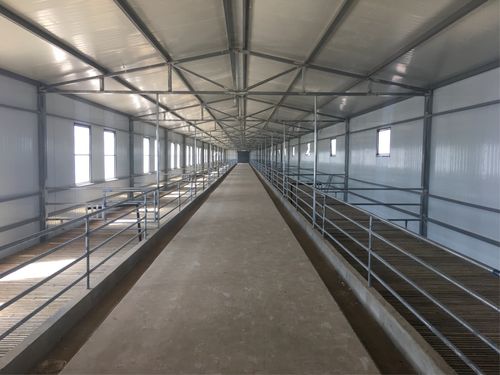 建设完成的羊棚