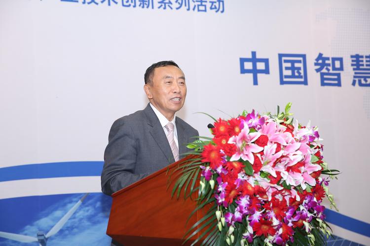 中国智慧能源产业技术创新战略联盟理事长  王忠敏 先生