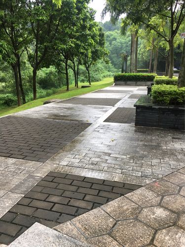 大水坑公园雨天地面干净图片2
