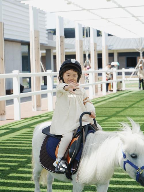 阿那亚马会的小矮马试骑体验_阿那亚_阿那亚自由行热门攻略_亲子_马术