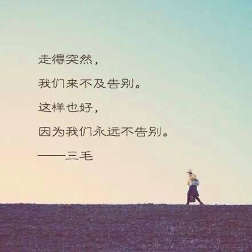 走得突然,我们来不及道别.这样也好,因为我们永远不告别.