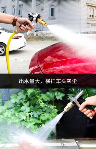 洗车高压水枪便携带式家用浇花洗车机水泵喷枪伸缩水管车用套装