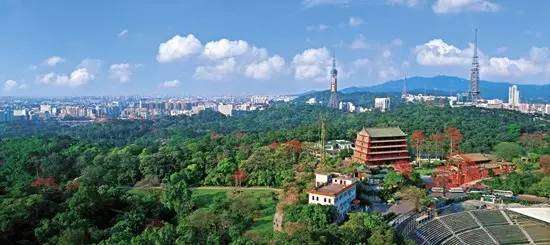 在家如何制作珍珠奶茶 海贼王misswednesday贝斯特神猫文物