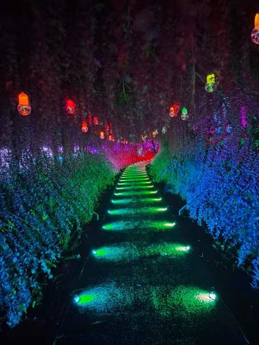 光影夜游高平寻梦小镇