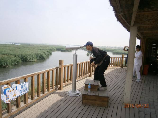 观鸟台上观鸟