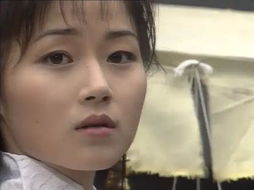 《精武门》播出26年,蔡老板已经去世多年,霍元甲依然英气逼人