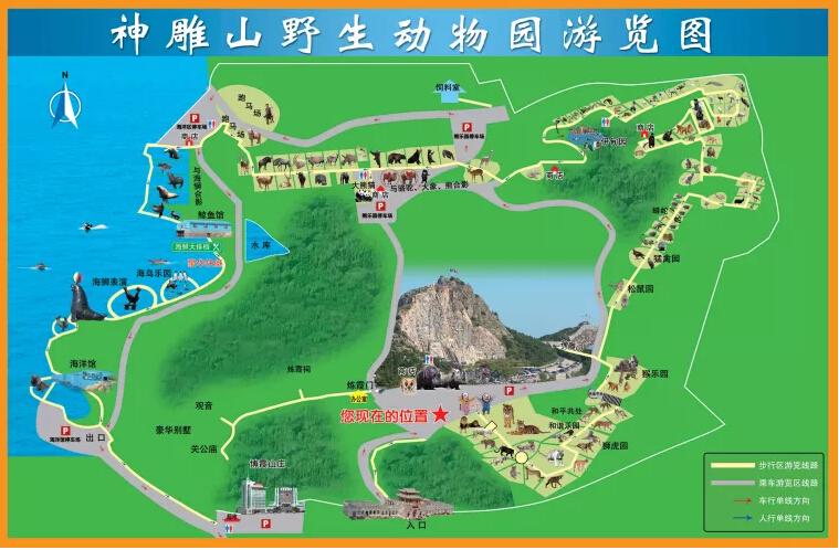 威海神雕山野生动物园位于山东威海荣成成山镇西霞口,是西霞口旅游