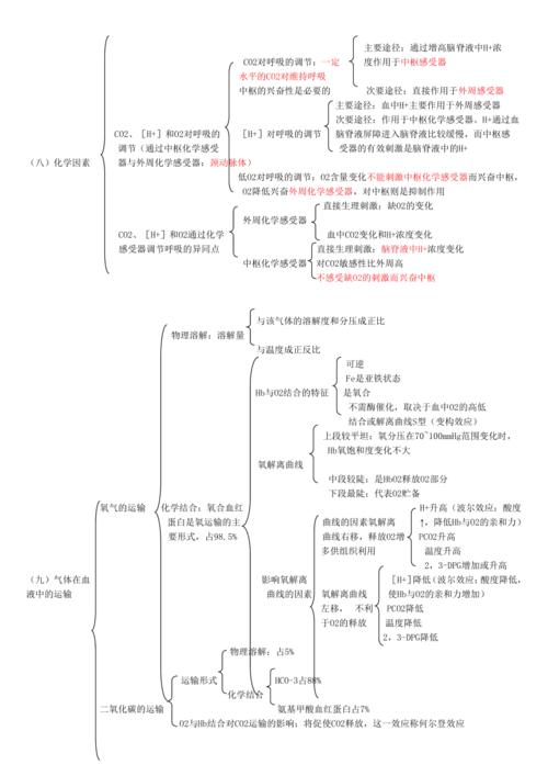 生理学框架笔记-重点记忆