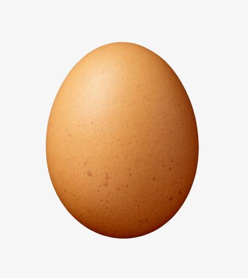 褐色鸡蛋带斑点的初生蛋实物