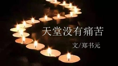 【散文】山东淄博 / 郑书元 《天堂没有痛苦》