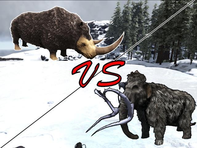 披毛犀 vs 猛犸象